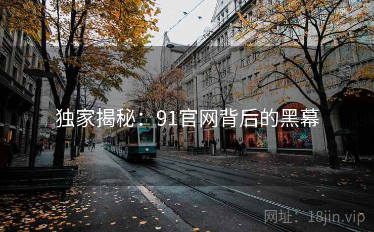 独家揭秘：91官网背后的黑幕