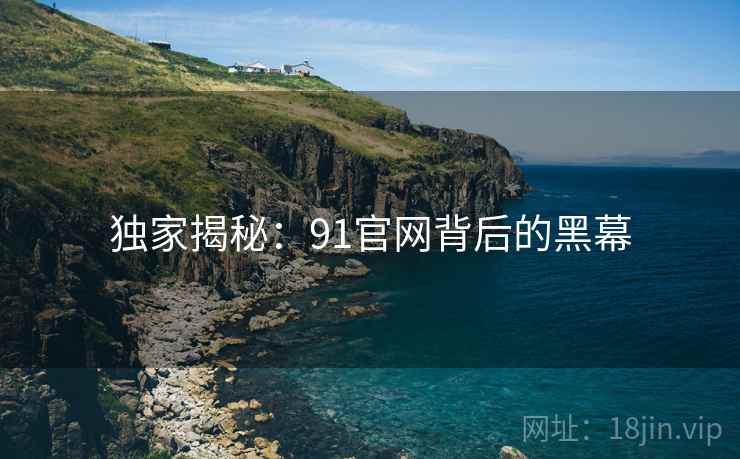 独家揭秘：91官网背后的黑幕