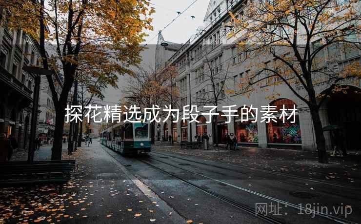 探花精选成为段子手的素材