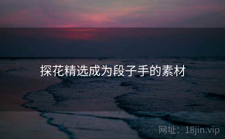 探花精选成为段子手的素材