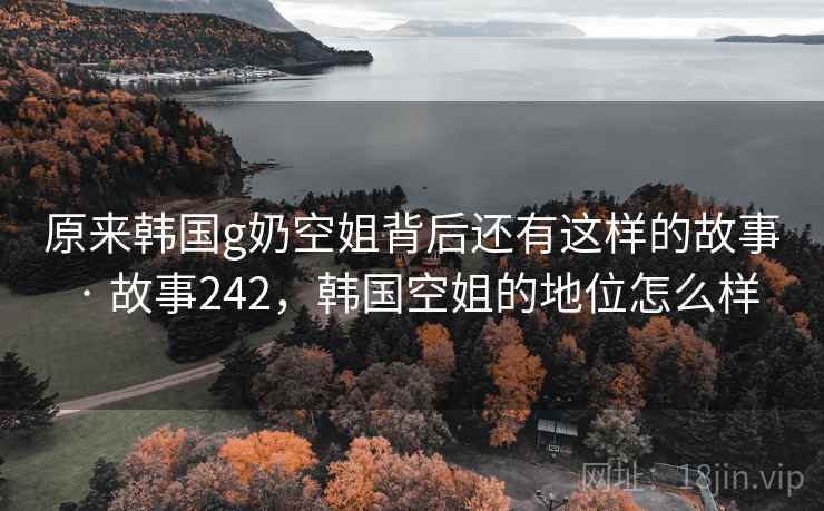 原来韩国g奶空姐背后还有这样的故事 · 故事242，韩国空姐的地位怎么样